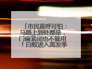 市民直呼可怕：马路上到处都是，门窗紧闭也不管用！白蚁进入高发季，但尚未达顶峰