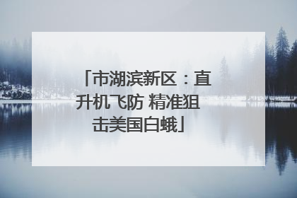 市湖滨新区：直升机飞防 精准狙击美国白蛾
