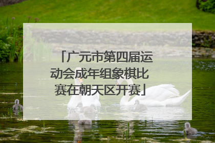 广元市第四届运动会成年组象棋比赛在朝天区开赛