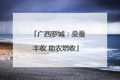 广西罗城：桑蚕丰收 助农增收