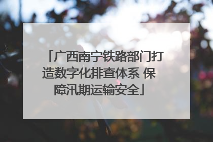 广西南宁铁路部门打造数字化排查体系 保障汛期运输安全