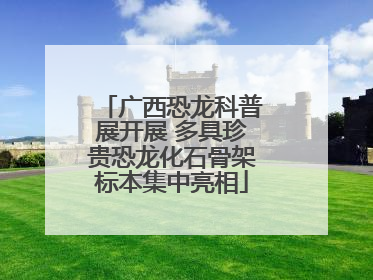 广西恐龙科普展开展 多具珍贵恐龙化石骨架标本集中亮相