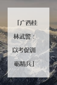 广西桂林武警：以考促训砺精兵
