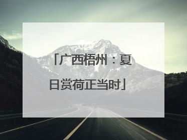 广西梧州：夏日赏荷正当时