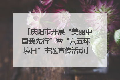 庆阳市开展“美丽中国我先行”暨“六五环境日”主题宣传活动