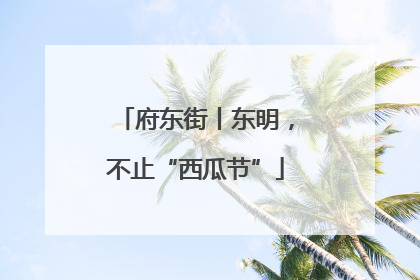 府东街丨东明，不止“西瓜节”