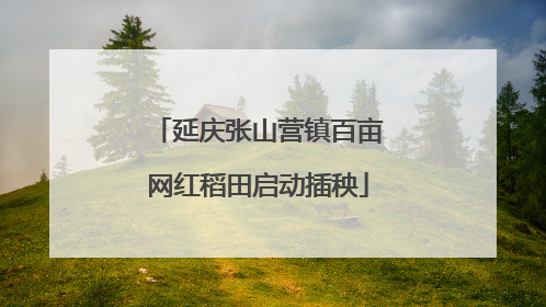延庆张山营镇百亩网红稻田启动插秧