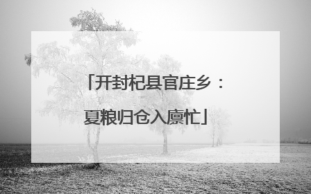 开封杞县官庄乡：夏粮归仓入廪忙