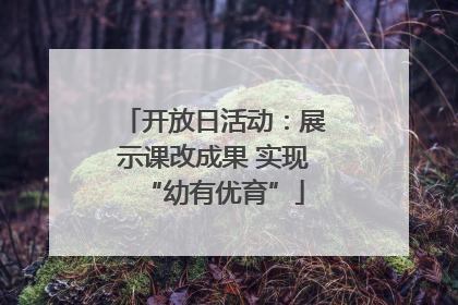 开放日活动：展示课改成果 实现“幼有优育”