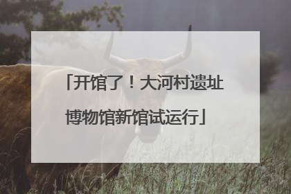 开馆了！大河村遗址博物馆新馆试运行
