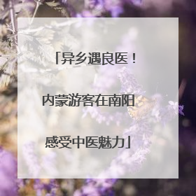 异乡遇良医！内蒙游客在南阳感受中医魅力