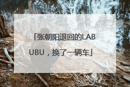 张朝阳退回的LABUBU，换了一辆车
