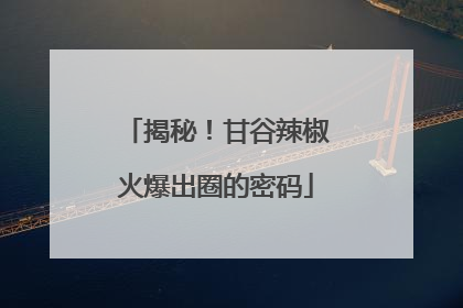 揭秘！甘谷辣椒火爆出圈的密码