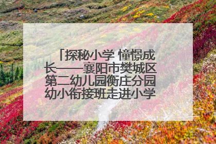 探秘小学 憧憬成长——襄阳市樊城区第二幼儿园衡庄分园幼小衔接班走进小学开展参观体验活动