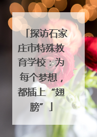 探访石家庄市特殊教育学校：为每个梦想，都插上“翅膀”