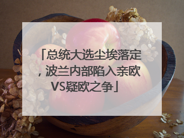 总统大选尘埃落定，波兰内部陷入亲欧VS疑欧之争