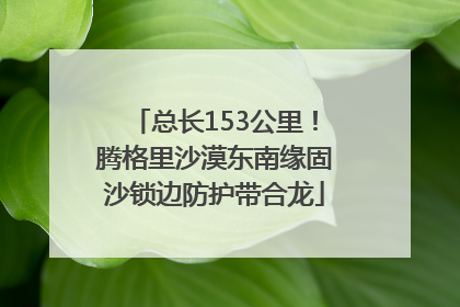 总长153公里！腾格里沙漠东南缘固沙锁边防护带合龙