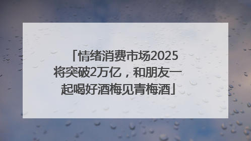情绪消费市场2025将突破2万亿，和朋友一起喝好酒梅见青梅酒