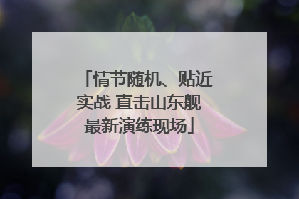 情节随机、贴近实战 直击山东舰最新演练现场