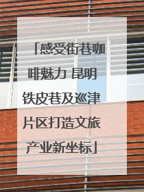 感受街巷咖啡魅力 昆明铁皮巷及巡津片区打造文旅产业新坐标