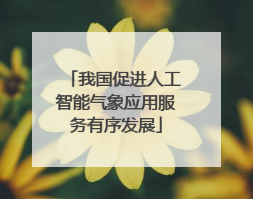 我国促进人工智能气象应用服务有序发展