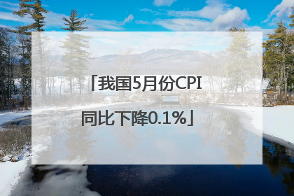 我国5月份CPI同比下降0.1%
