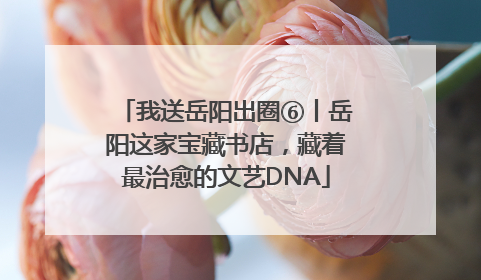 我送岳阳出圈⑥丨岳阳这家宝藏书店，藏着最治愈的文艺DNA