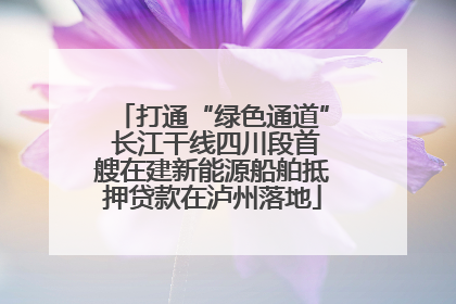 打通“绿色通道” 长江干线四川段首艘在建新能源船舶抵押贷款在泸州落地