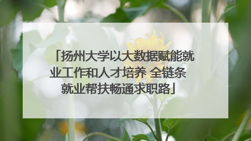 扬州大学以大数据赋能就业工作和人才培养 全链条就业帮扶畅通求职路