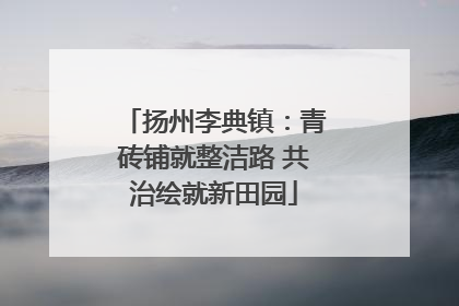 扬州李典镇：青砖铺就整洁路 共治绘就新田园
