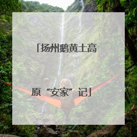 扬州鹅黄土高原“安家”记