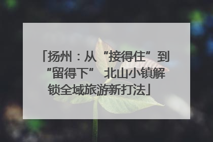 扬州：从“接得住”到“留得下” 北山小镇解锁全域旅游新打法