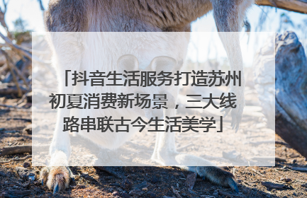 抖音生活服务打造苏州初夏消费新场景，三大线路串联古今生活美学