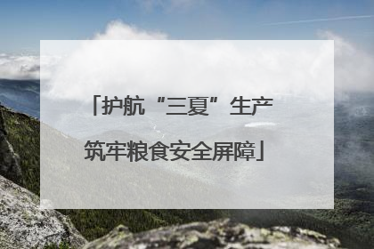护航“三夏”生产 筑牢粮食安全屏障