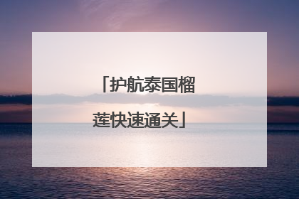 护航泰国榴莲快速通关