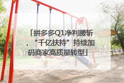 拼多多Q1净利腰斩，“千亿扶持”持续加码商家高质量转型
