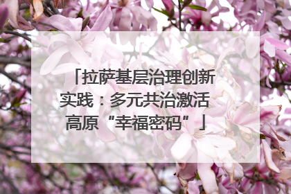 拉萨基层治理创新实践：多元共治激活高原“幸福密码”