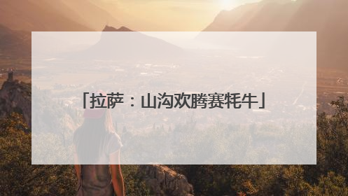 拉萨：山沟欢腾赛牦牛