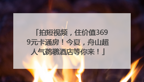 拍短视频，住价值3699元卡通房！今夏，舟山超人气鹈鹕酒店等你来！