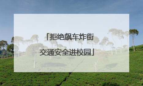 拒绝飙车炸街 交通安全进校园