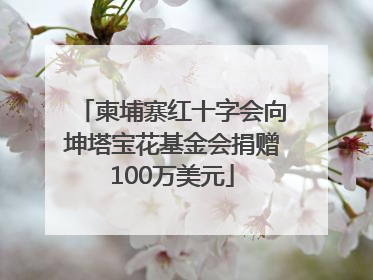 柬埔寨红十字会向坤塔宝花基金会捐赠100万美元