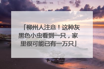 柳州人注意！这种灰黑色小虫看到一只，家里很可能已有一万只