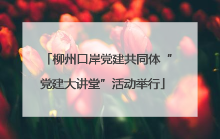 柳州口岸党建共同体“党建大讲堂”活动举行