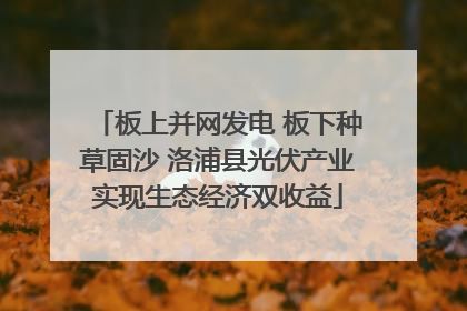 板上并网发电 板下种草固沙 洛浦县光伏产业实现生态经济双收益