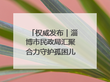 权威发布｜淄博市民政局汇聚合力守护孤困儿童健康成长