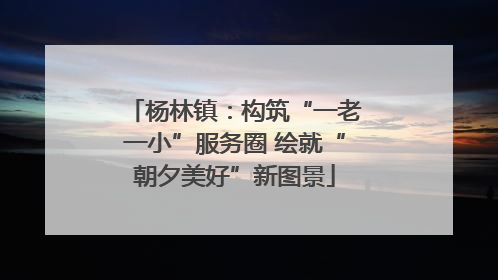 杨林镇：构筑“一老一小”服务圈 绘就“朝夕美好”新图景