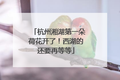 杭州湘湖第一朵荷花开了！西湖的还要再等等