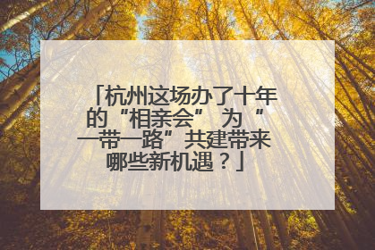 杭州这场办了十年的“相亲会” 为“一带一路”共建带来哪些新机遇？