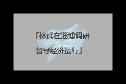 林武在淄博调研督导经济运行