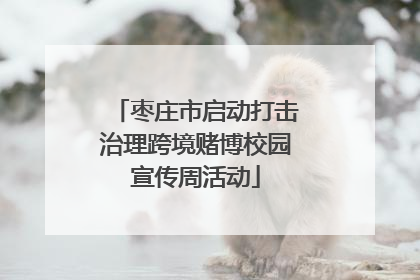 枣庄市启动打击治理跨境赌博校园宣传周活动